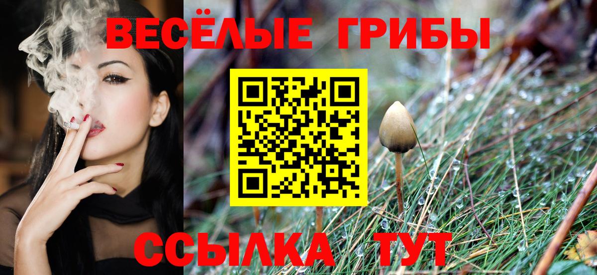 Волжск  Псилоцибиновые грибы Psilocybine cubensis  Вход с VPN 